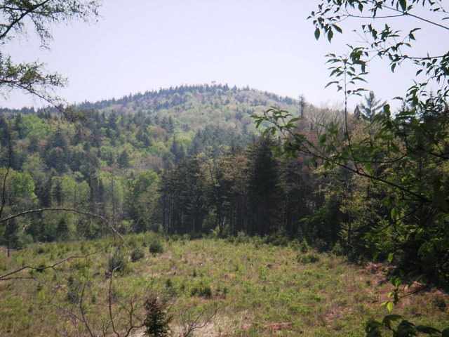 Mount Olga from Larson Road